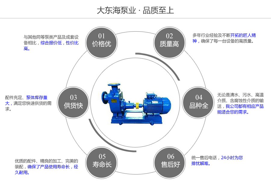 大東海泵業(yè)ZW型自吸式排污泵質量保證圖