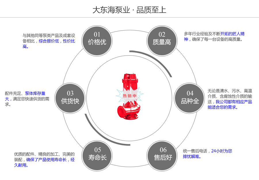 大東海泵業(yè)耐高溫污水泵質量保證圖